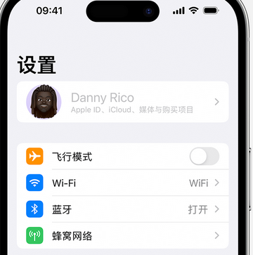 鸡冠appleID维修服务iPhone设置中Apple ID显示为灰色无法使用