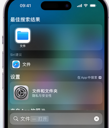 鸡冠apple维修中心分享iPhone文件应用中存储和找到下载文件 