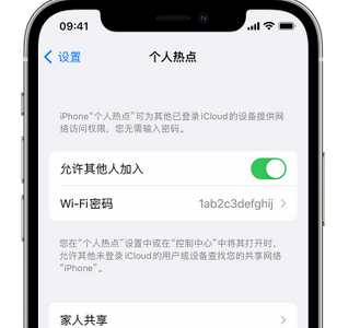 鸡冠apple服务站点分享iPhone上个人热点丢失了怎么办 