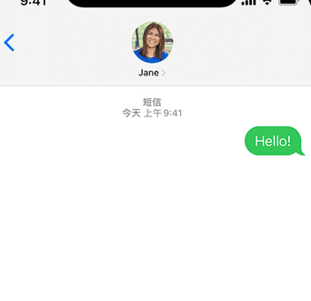 鸡冠apple维修iPhone上无法正常发送iMessage信息