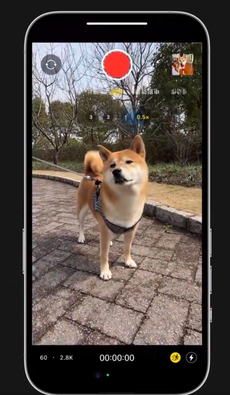 鸡冠苹果14服务网点分享iPhone14上手持拍摄也能保持画面稳定 