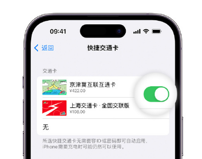 鸡冠apple维修点分享iPhone上更换Apple Pay快捷交通卡手绘卡面 