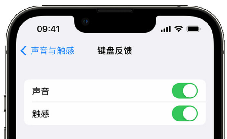 鸡冠苹果手机维修分享iPhone 14触感键盘使用方法 