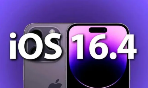 鸡冠苹果14维修分享：iPhone14可以升级iOS16.4beta2吗？ 