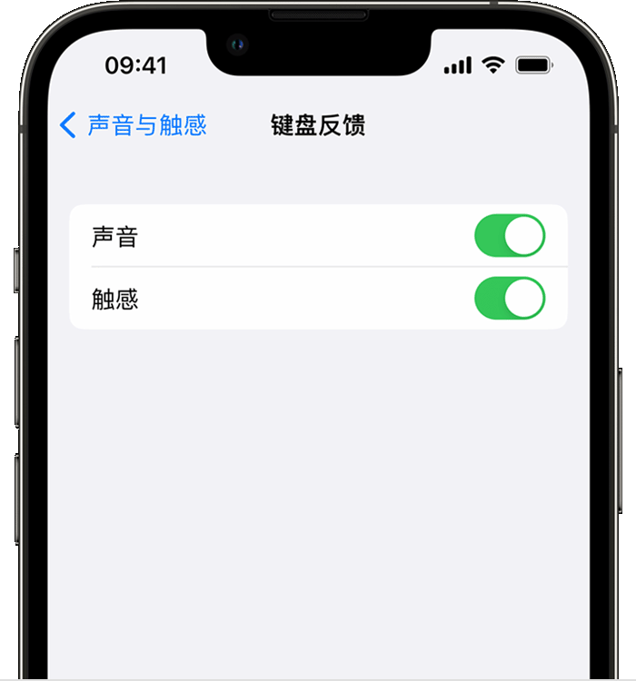 鸡冠苹果14维修店分享如何在 iPhone 14 机型中使用触感键盘 