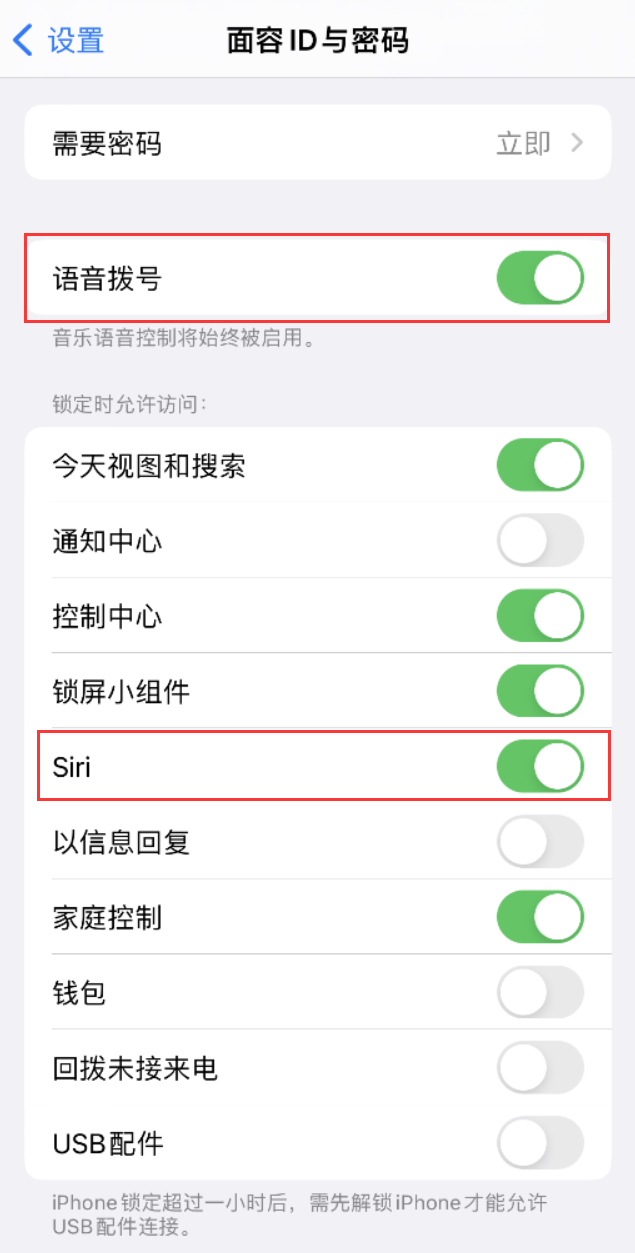 鸡冠苹果维修网点分享不解锁 iPhone 的情况下通过 Siri 拨打电话的方法 