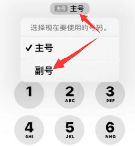 鸡冠苹果14维修店分享iPhone 14 Pro Max使用副卡打电话的方法 