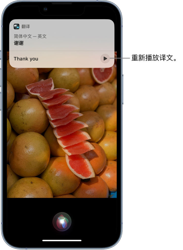 鸡冠苹果14维修分享 iPhone 14 机型中使用 Siri：了解 Siri 能帮你做什么 