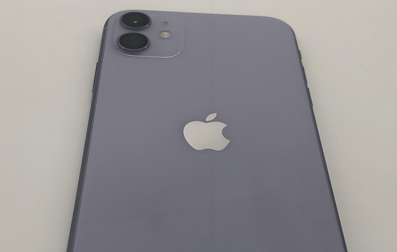 鸡冠苹果11系统维修分享iPhone11手机系统崩溃无法开机如何解决 