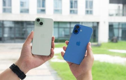 鸡冠苹果维修点分享iPhone 16 Plus黑屏疑难故障汇总 